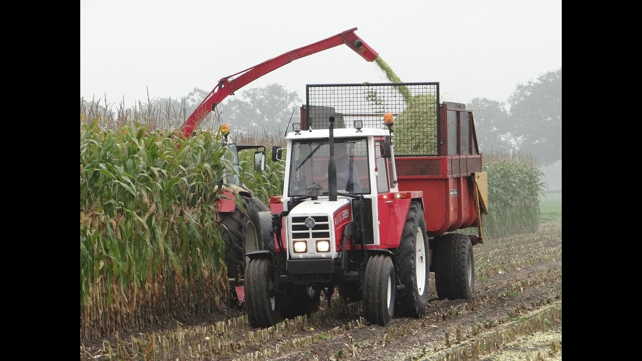 Steyr 9094/maishakselen/harvesting maize/2013/The Netherlands/Grotenhuis uit Kring van Dorth(Lochem)