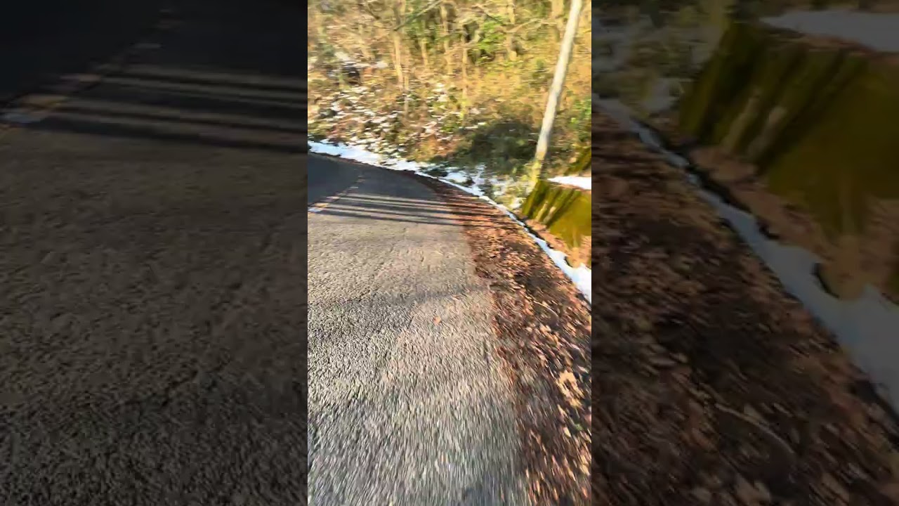 老ヶ岳2