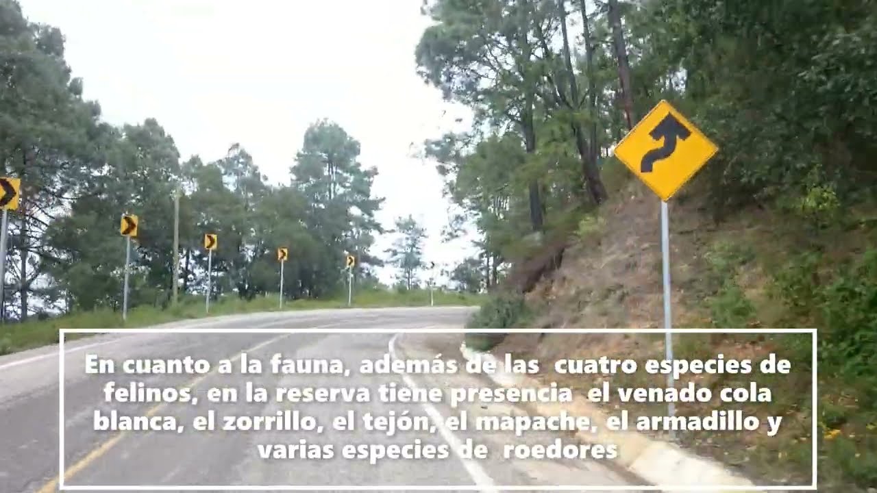 Viaje por carretera desde la regi&oacute;n Mixteca hasta los Valles Centrales de Oaxaca