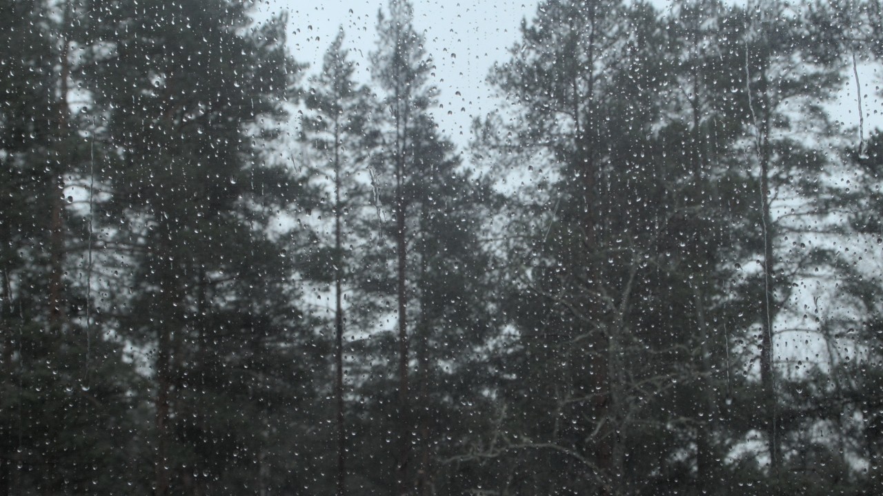 It's raining slow TV