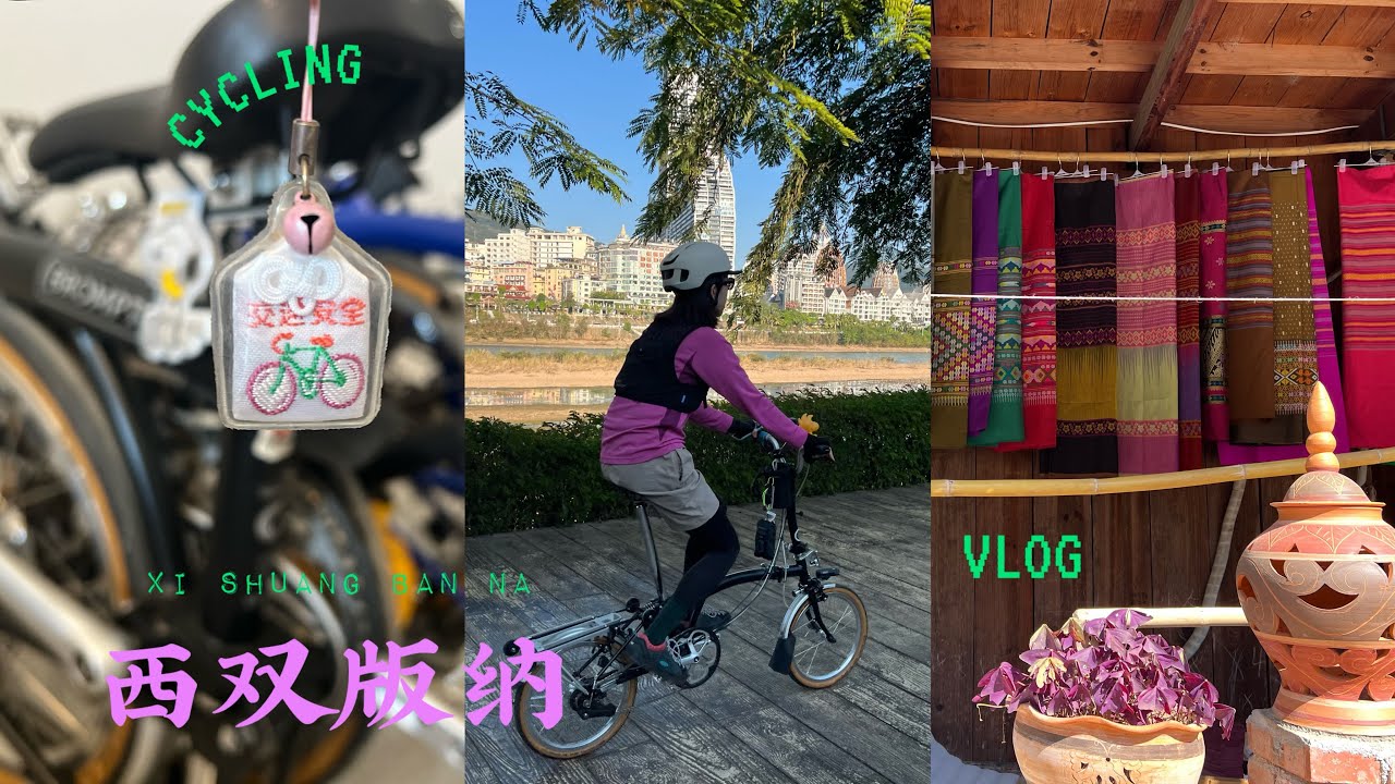 带着brompton去旅行 | 骑到西双版纳“串个门儿”  曼丢村骑行很友好 菜市场比景点好逛 