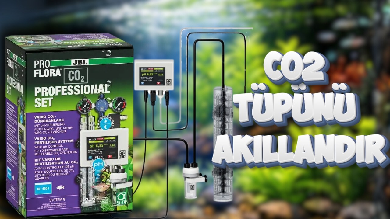 Jbl vario ile CO2 sistemini akıllandır | Betta Marketim