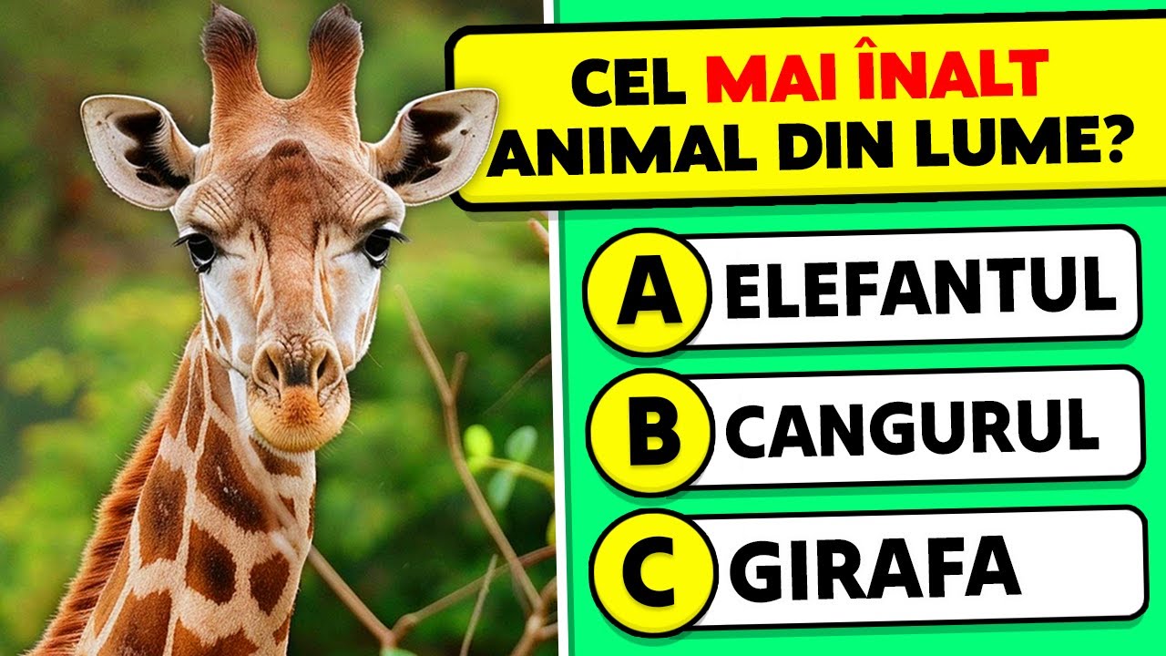 🧠 35 de &Icirc;ntrebări de Cultură Generală despre ANIMALE! 🐘🤯