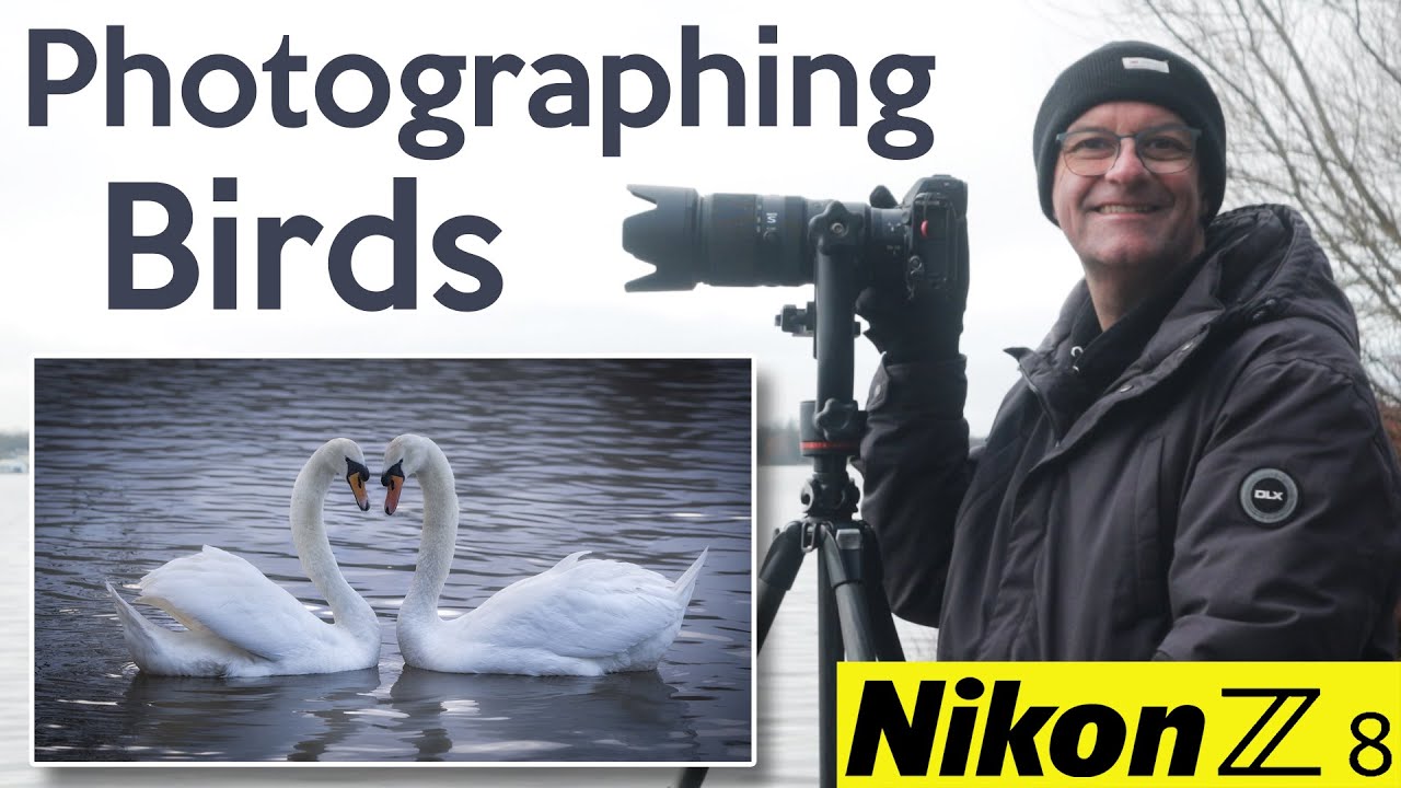 Wildlife Photography at Pennington Flash Nature Reserve - Nikon Z8