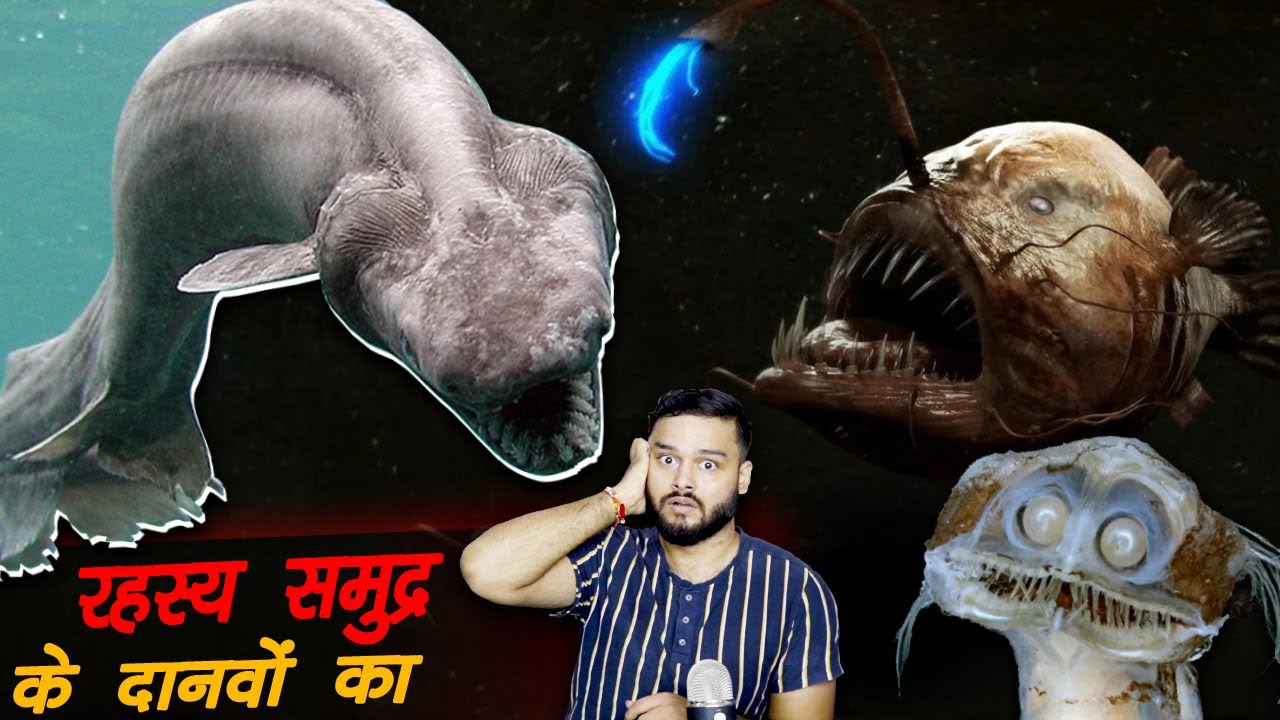 गहरे समुद्र का पूरा रहस्य - Deep Sea Creatures & Various Random Facts - TEF Ep 209