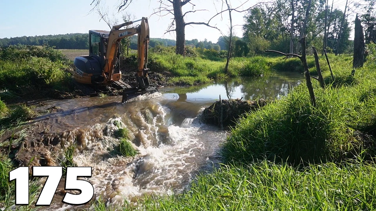 Beaver Dam Removal With Excavator No.175 - Second Camera