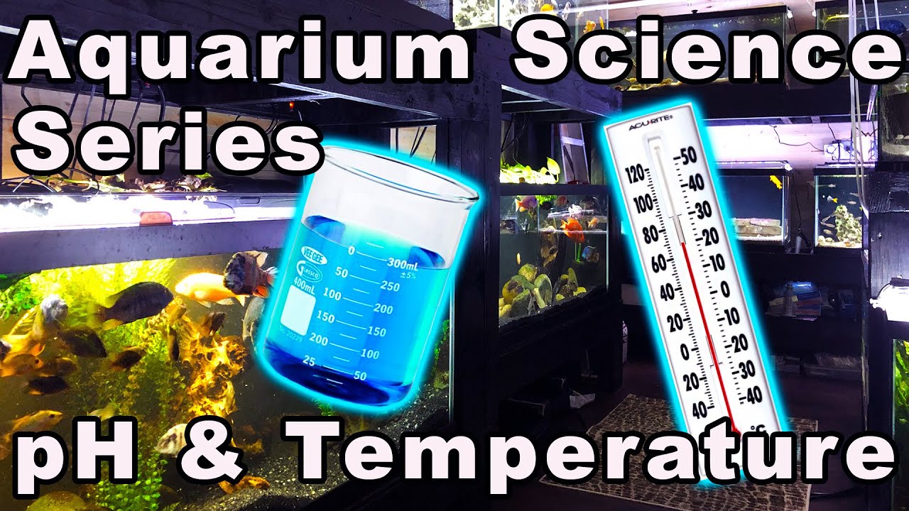 Aquarium Science Series: How Rapid Changes in Temperature and pH Impact Fish Health