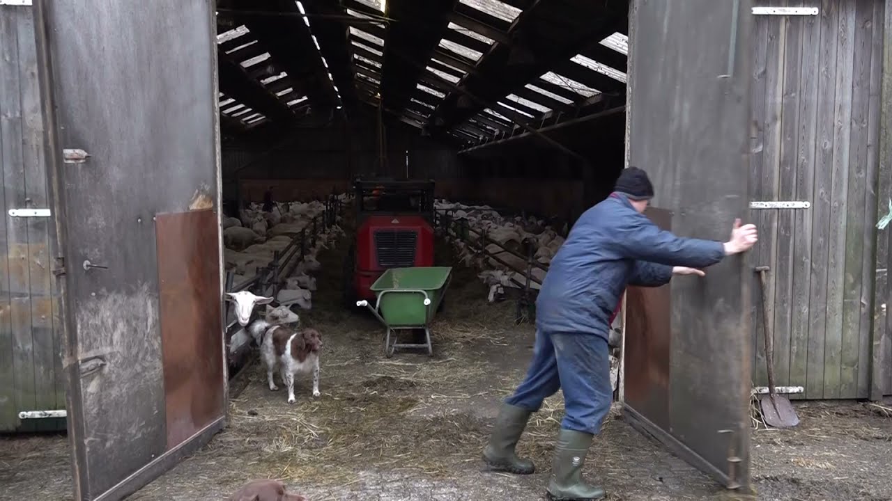 Keuzes: de geitenboerderij