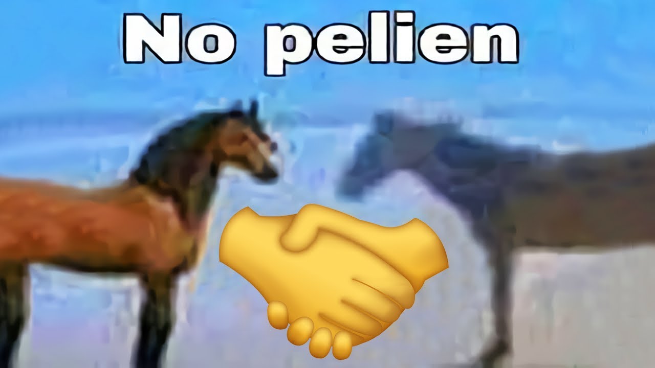 NO PELIEN 🤝