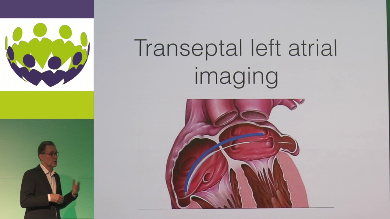 Niels Vejlstrup - When is ICE a good imaging modality, and when it is not?