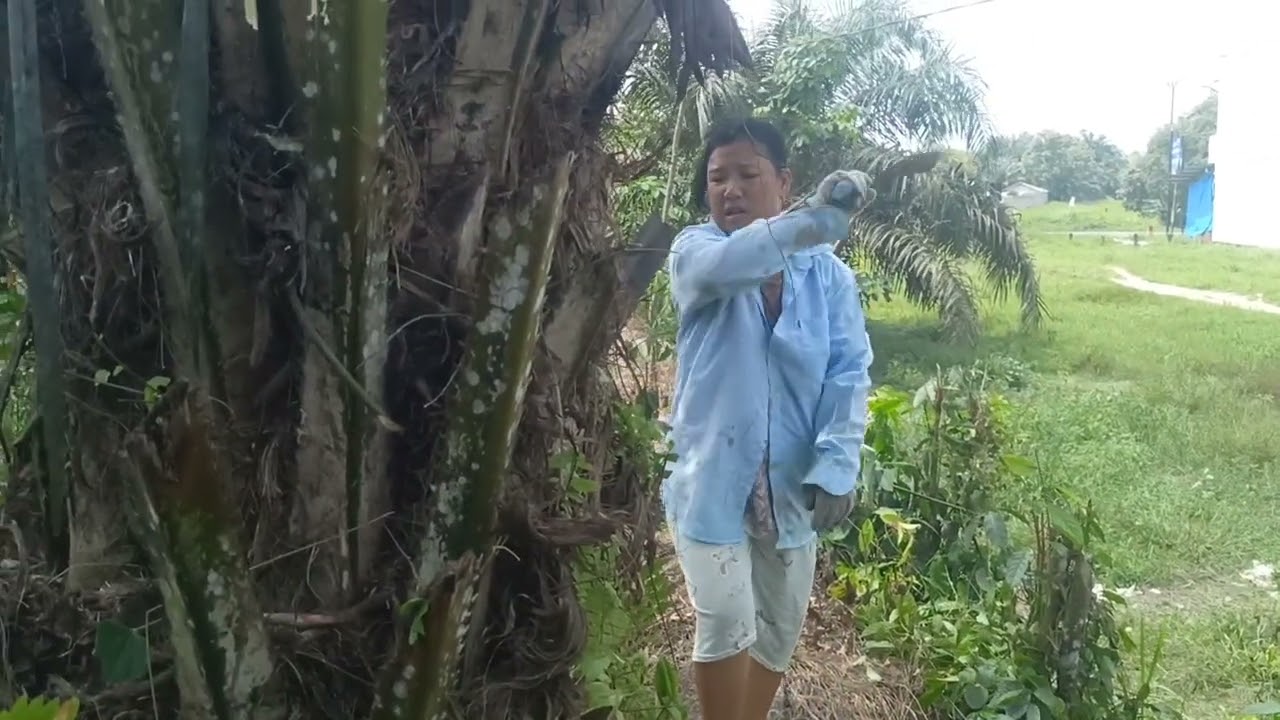 Telat sedikit sudah di ambil . .. geram tingkah lakunya 