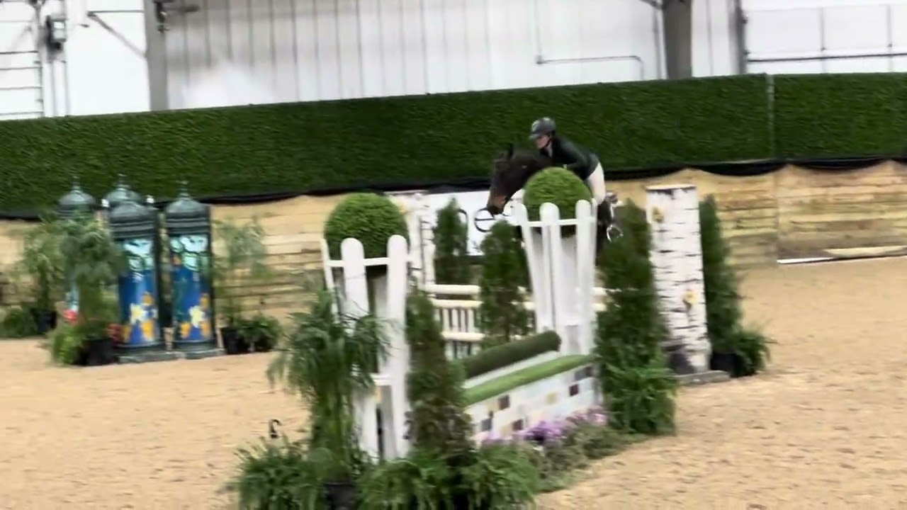 3rd Place Children's Hunter