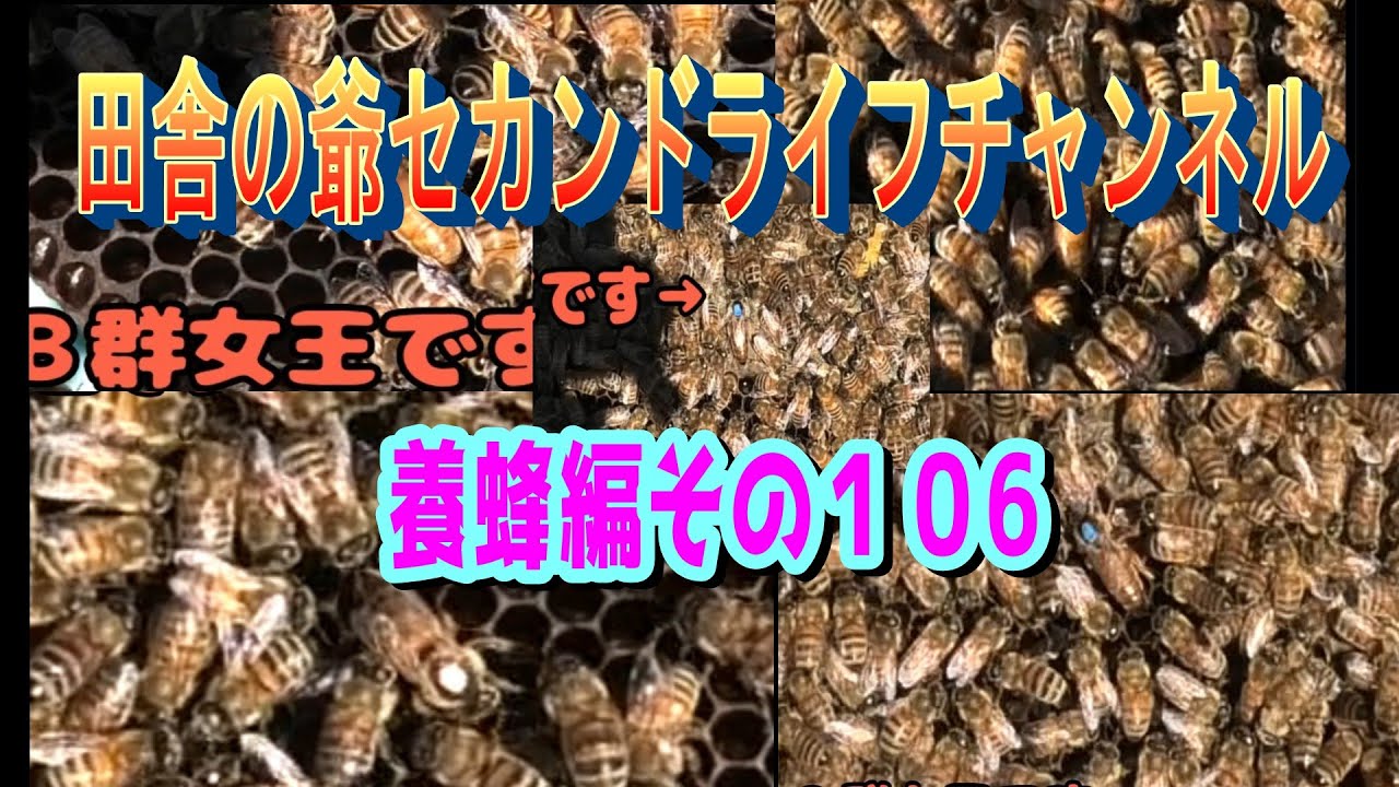 養蜂編その106