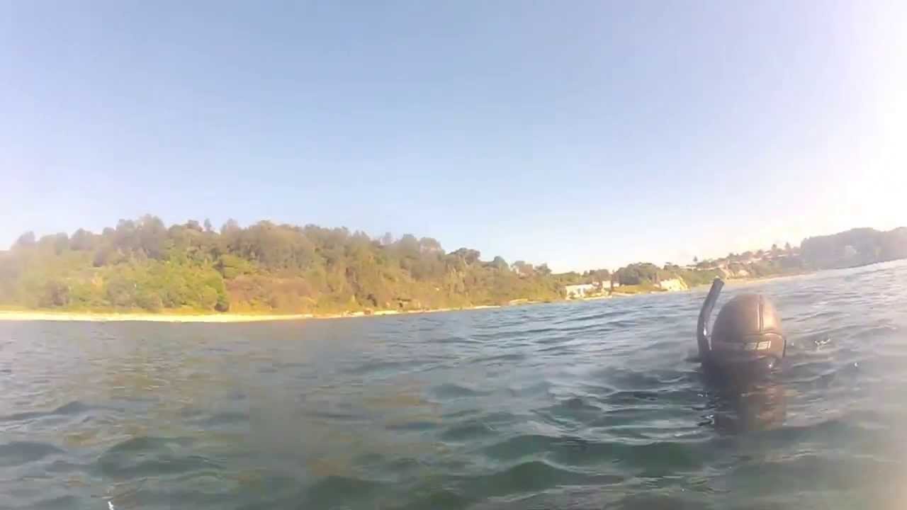 Norah Head Spearfishing - Volume 1