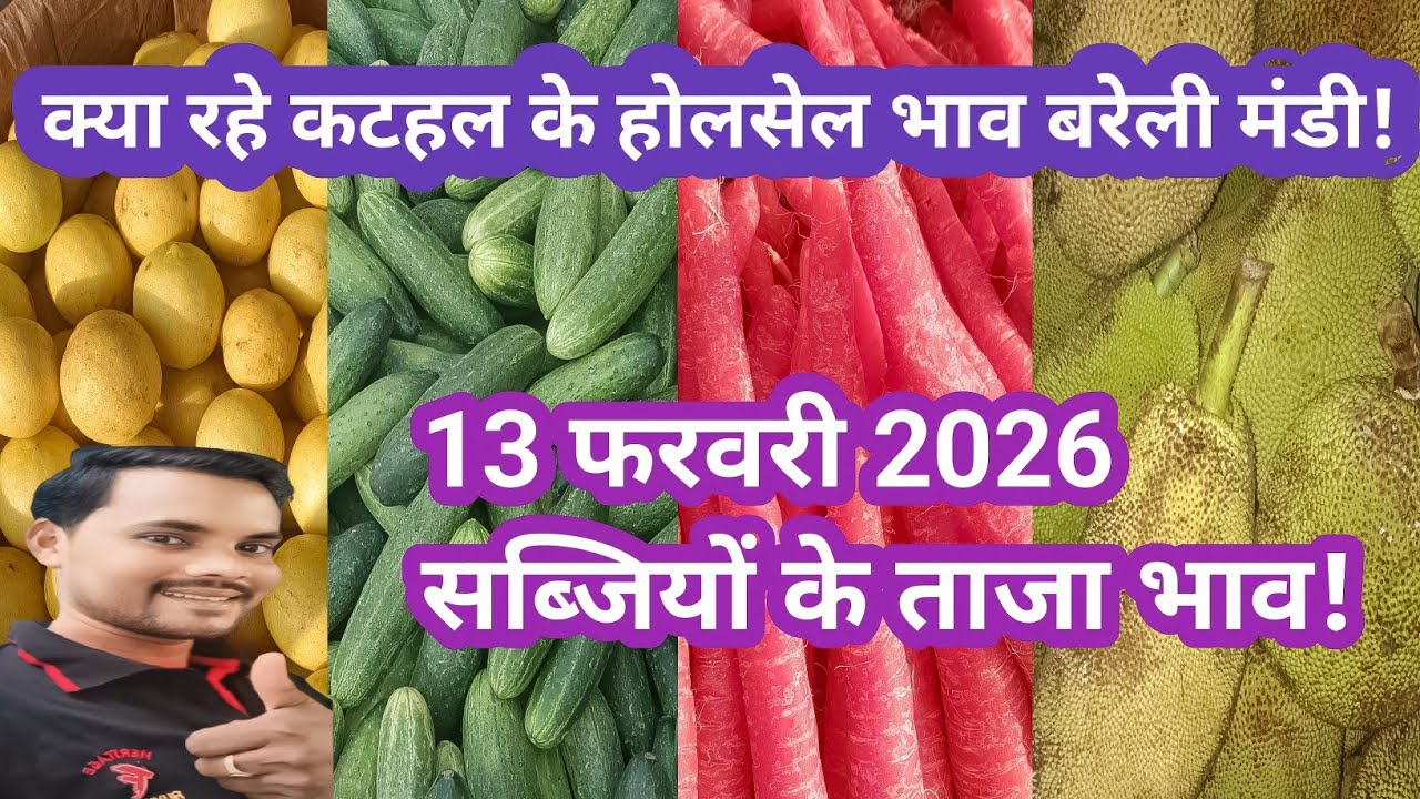 February 13, 2026 सभी सब्जियों के ताजा भाव बरेली मंडी up 💯 