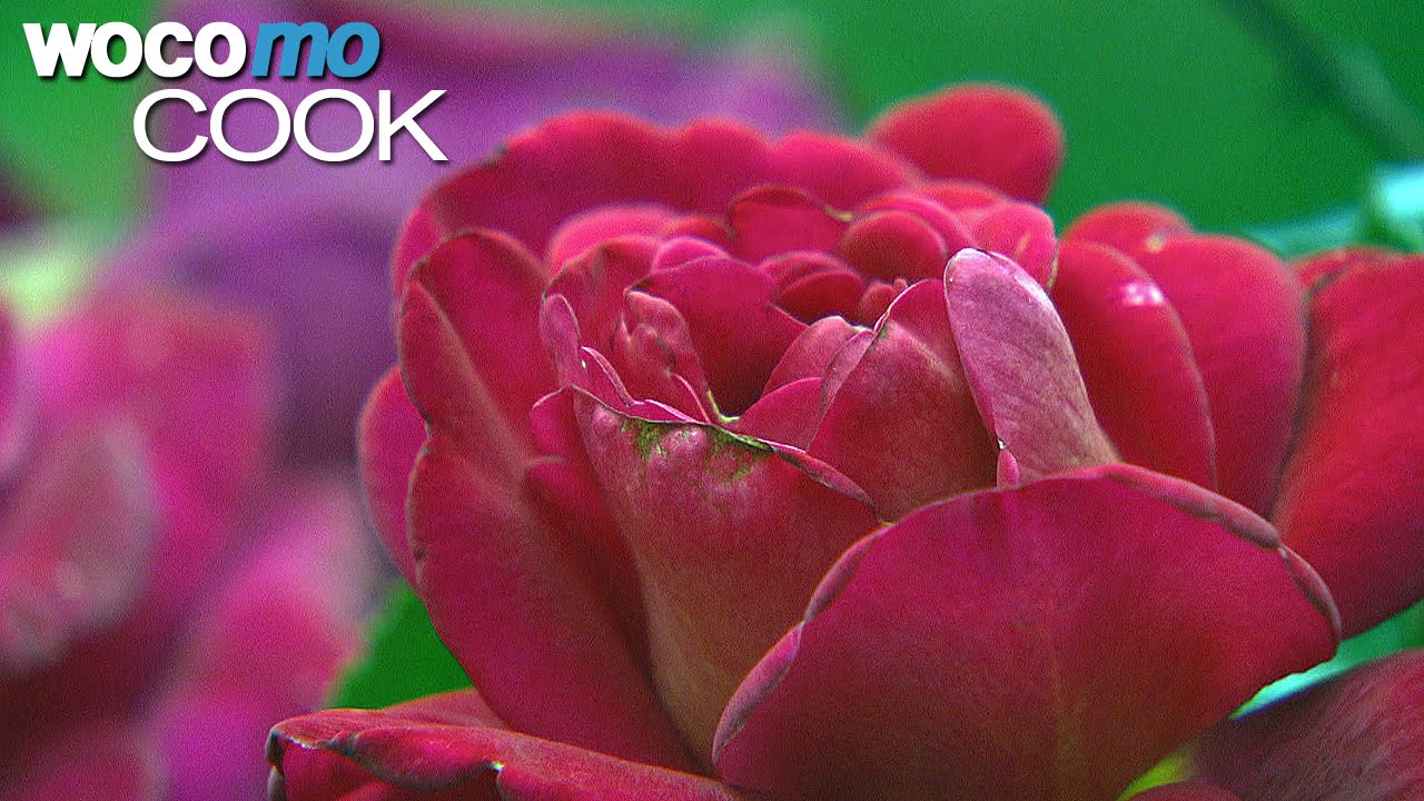 Cuisine d&eacute;jant&eacute;e d'Europe du Nord | Foie, anguille, g&acirc;teau aux lentilles et plus encore