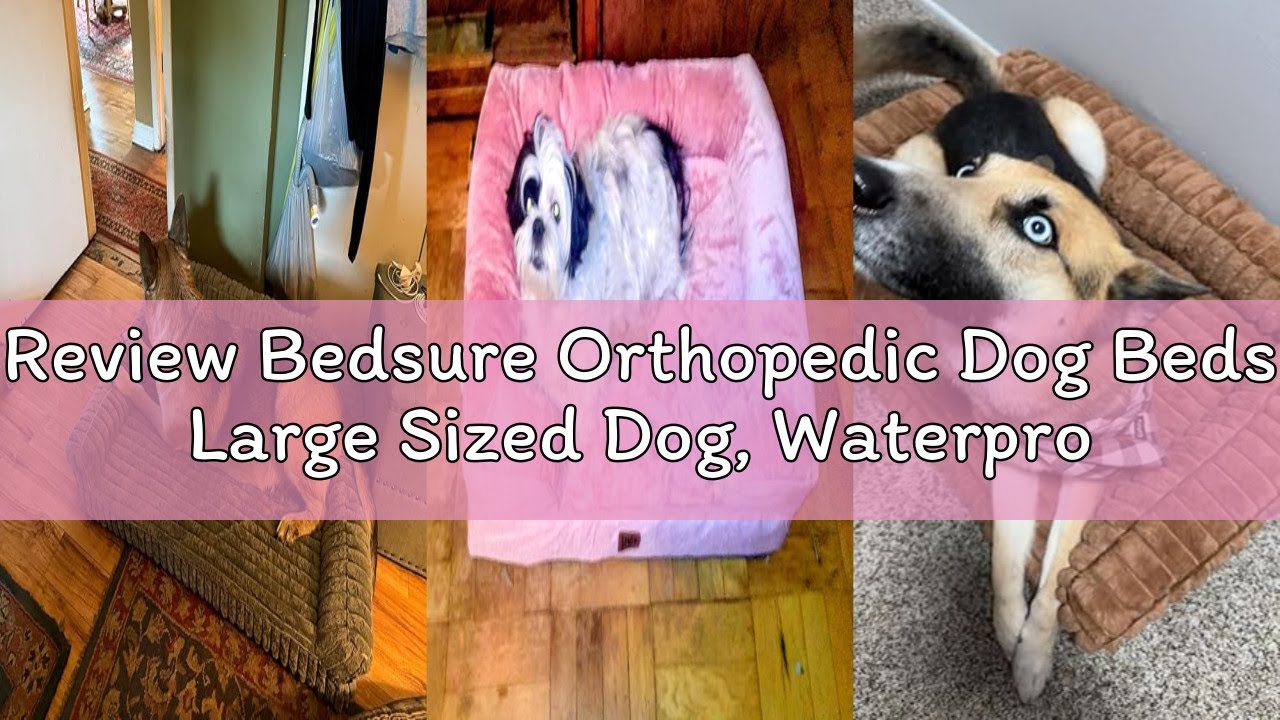 Review Bedsure Orthopedic Dog Beds Large Sized Dog, Waterproof Memory Foam Pet Bed with Sides, Non-S
