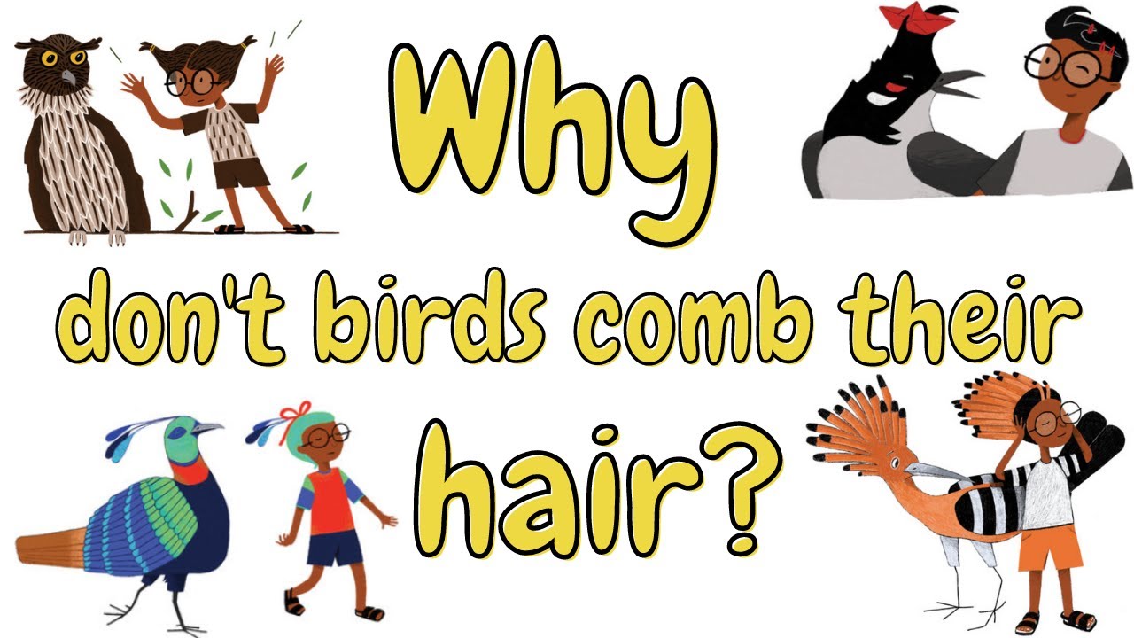 Why Don't Birds Comb Their Hair? | Short Stories for Children