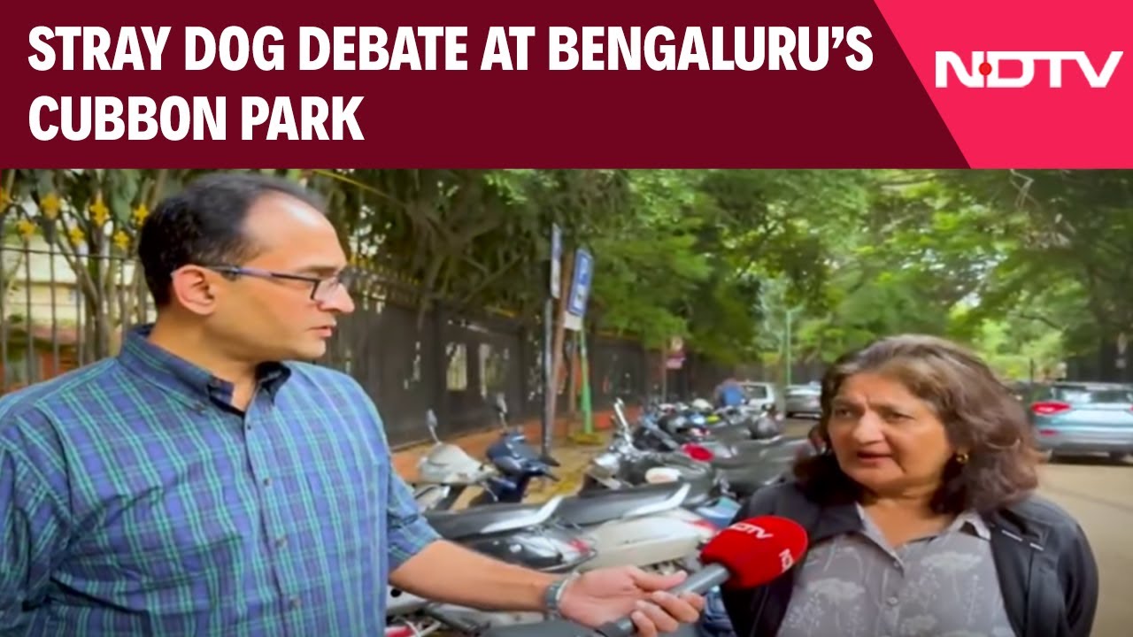 Supreme Court Order On Stray Dogs | The Dog Debate At Cubbon Park!