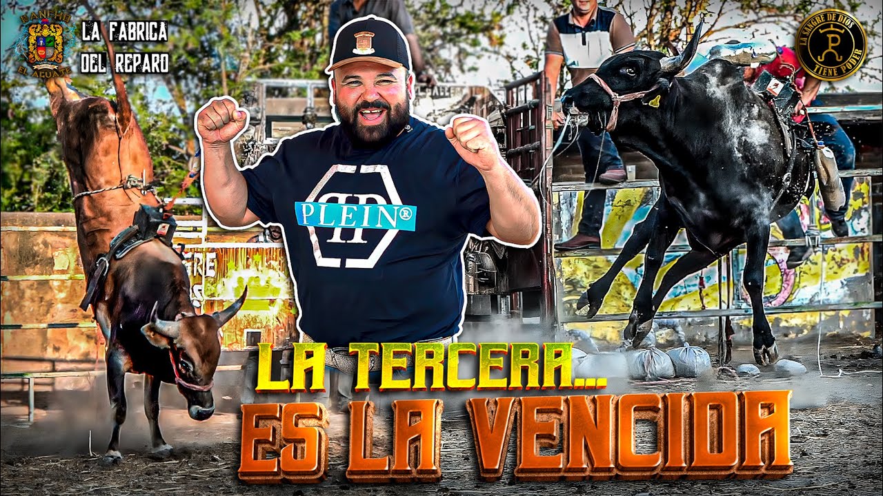 LES DIMOS SU ¡¡¡TERCERA GRAN #CALA A NUESTROS BEBES!!! | SON LOS TORETES DE LA FABRICA DEL #REPARO