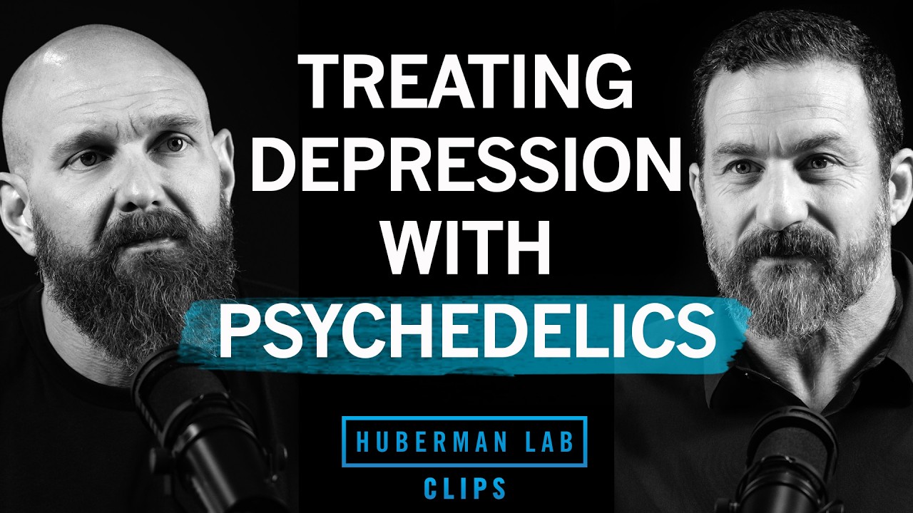 Treating Depression & PTSD with Ibogaine & DMT | DJ Shipley & Dr. Andrew Huberman