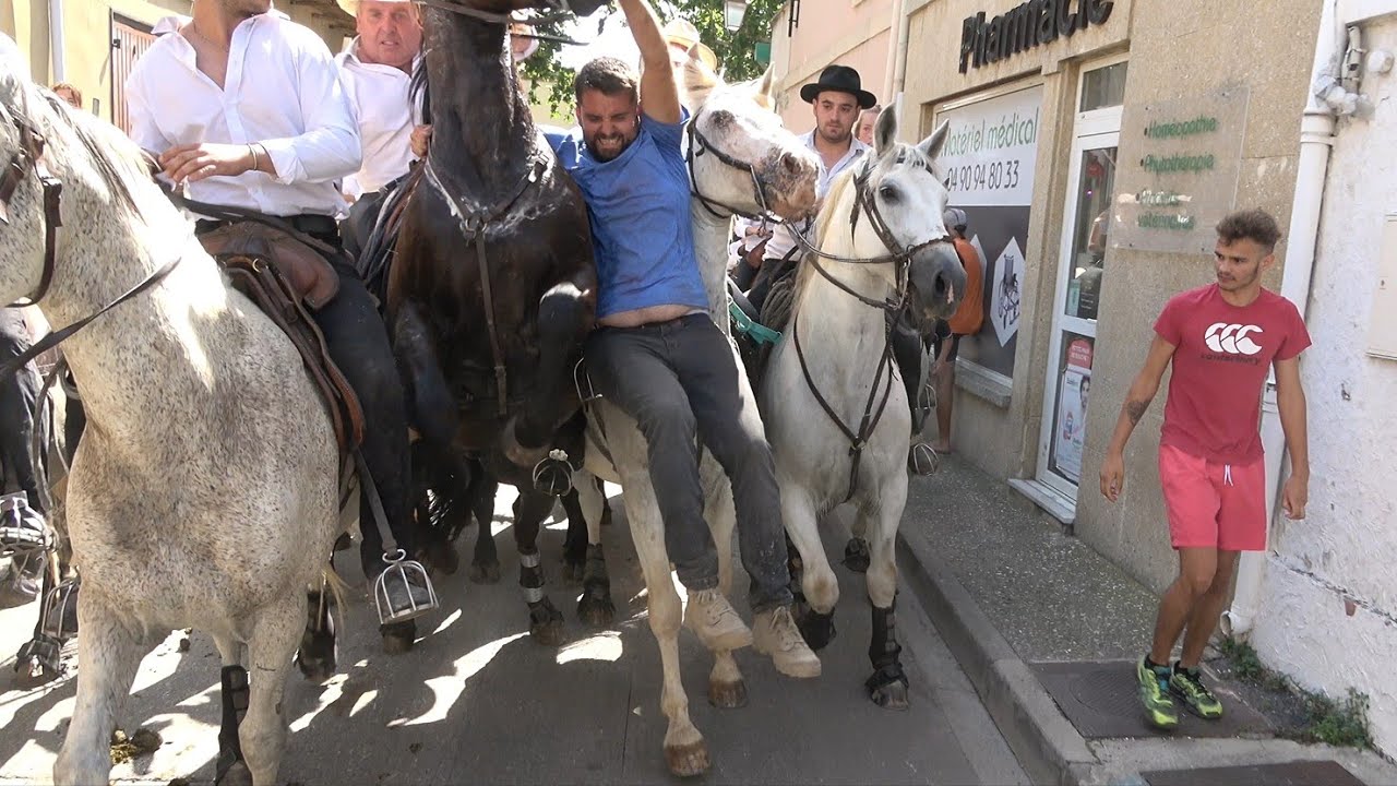 ROGNONAS ABRIVADO LONGUE à l'ancienne  11.07.23 🐮💥