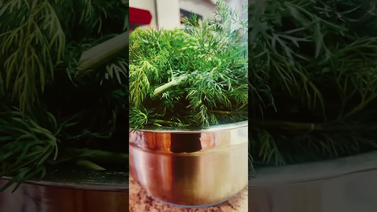Protect & harvest your herbs before the freeze!