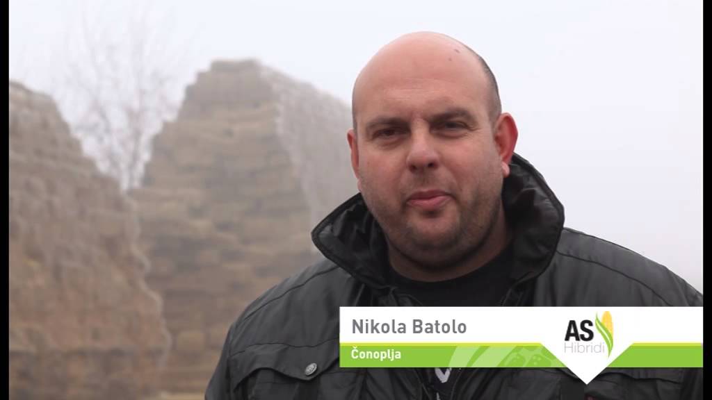 AS Hibridi - uspešni proizvođači (Čonoplja)