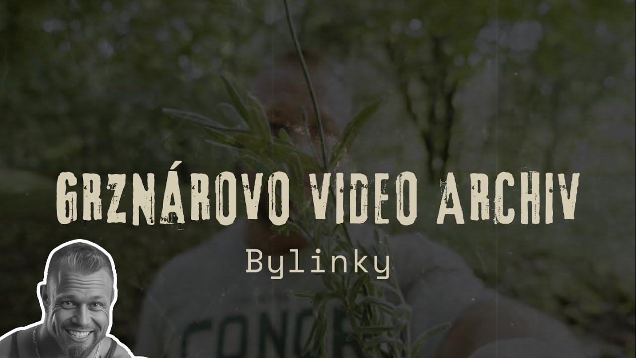 BYLINKY - Grzn&aacute;rovo Video Archiv