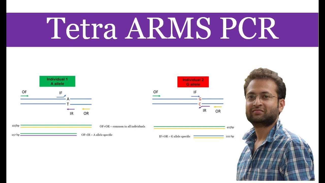 Tetra ARMS PCR: what it is and how it works