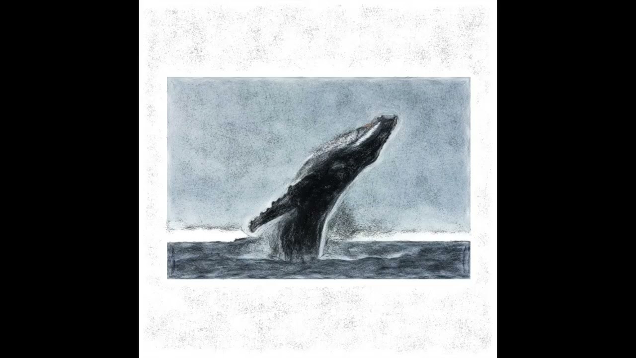Post - Whale [ POST ROCK ]