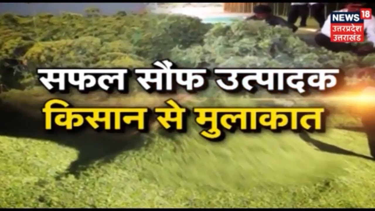ANNADATA | नई तकनीक से करें सौंफ की खेती और कमाएं अच्छी आमदनी