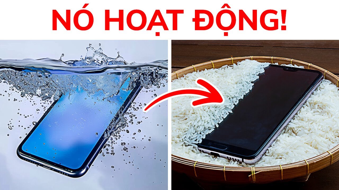 Hơn 50 việc mà công việc hàng ngày của bạn có thể làm