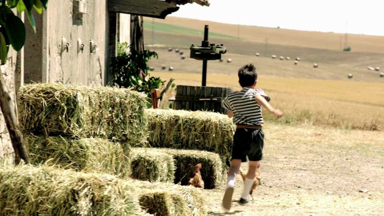 Il sogno di Armando