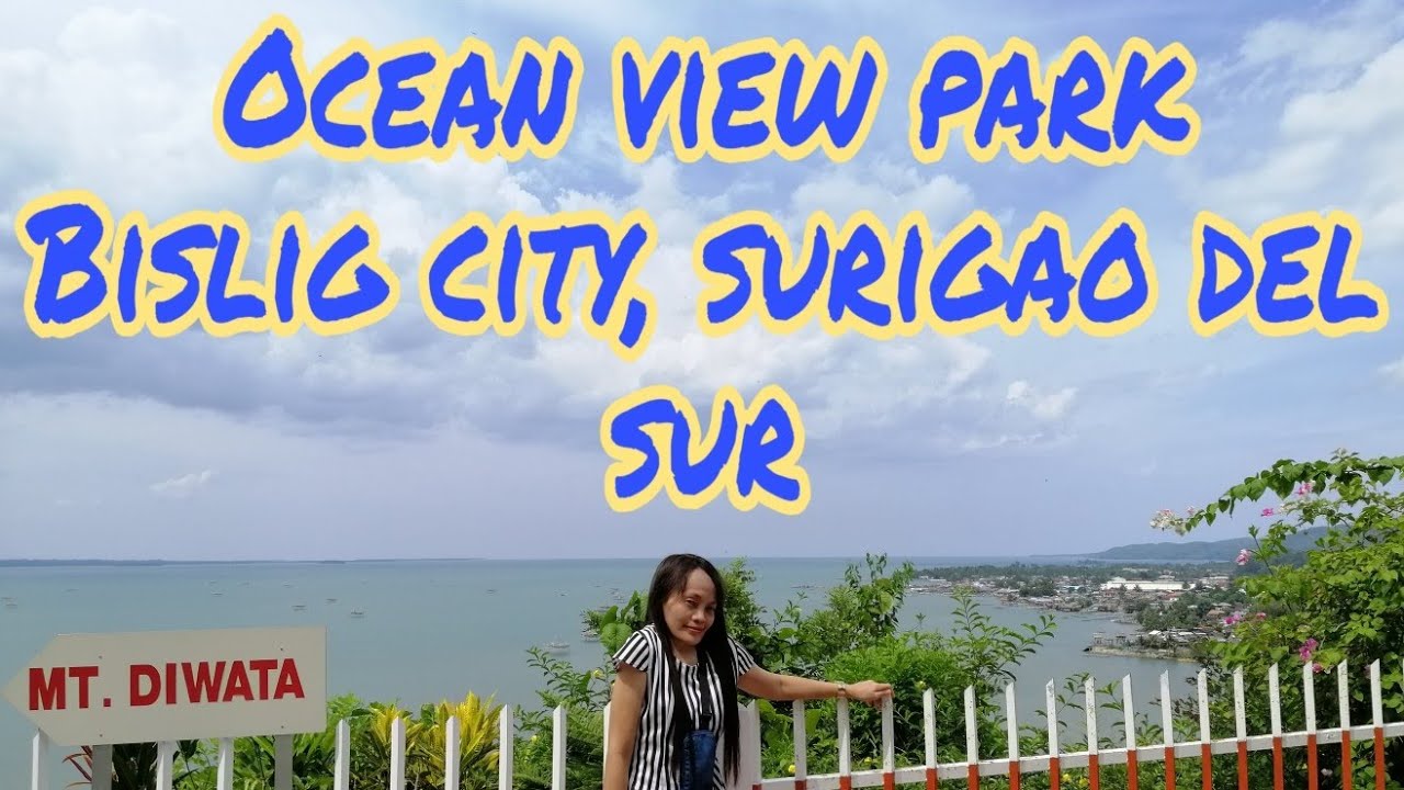 OCEAN VIEW PARK-BISLIG CITY