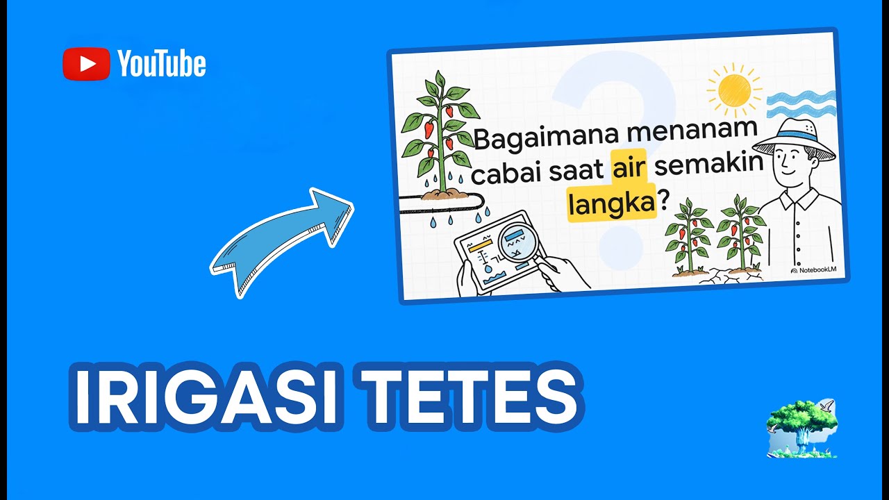 TANTANGAN Petani Lombok Utara: Mengatasi Kekeringan dengan Irigasi Tetes!