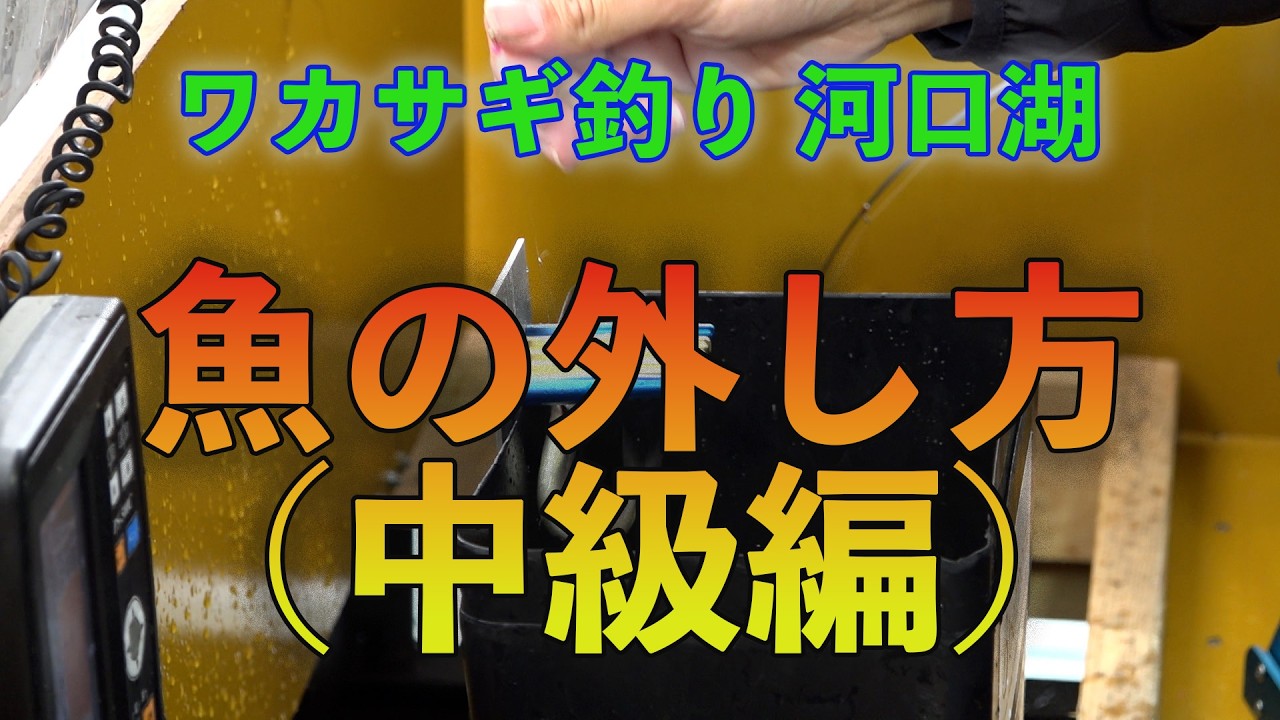 ワカサギ釣り 魚の外し方（中級編）