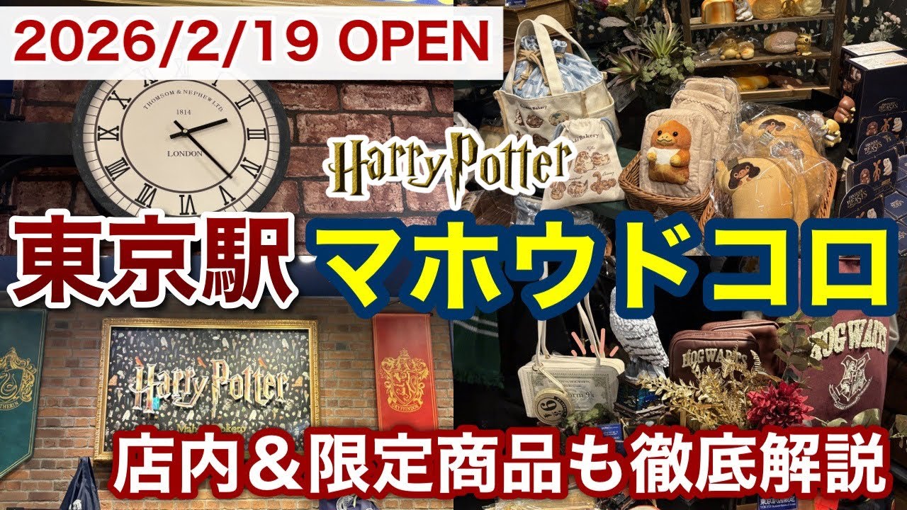 【新オープン！】東京駅のハリポタ店マホウドコロを最速レポ🪄⚡️限定グッズ＆店内を徹底紹介✨