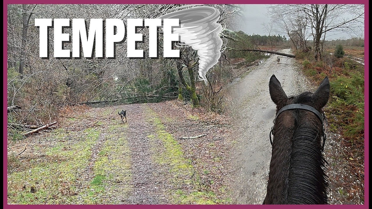 J'AI UNE ÉNORME NOUVELLE A VOUS DIRE !!!!! - Et... Le pré est devenu un lac !