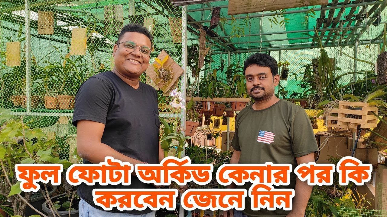 ফুল ফোঁটা অর্কিড গাছ কেনার পর কি করলে আসবে নতুন ফুল আজকে জেনে নিন | Orchids special care in winter |