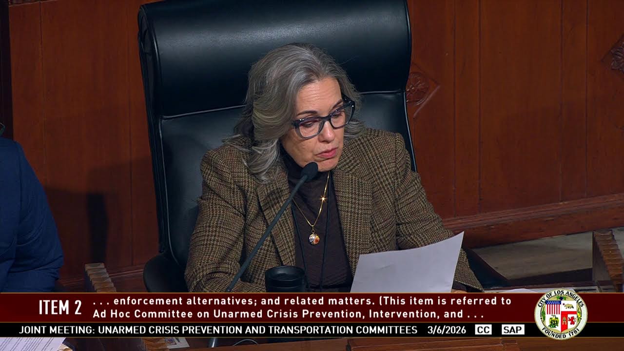 Special Joint Meeting - Ad Hoc Committee on Unarmed Crisis Prevention and Transportation Committee