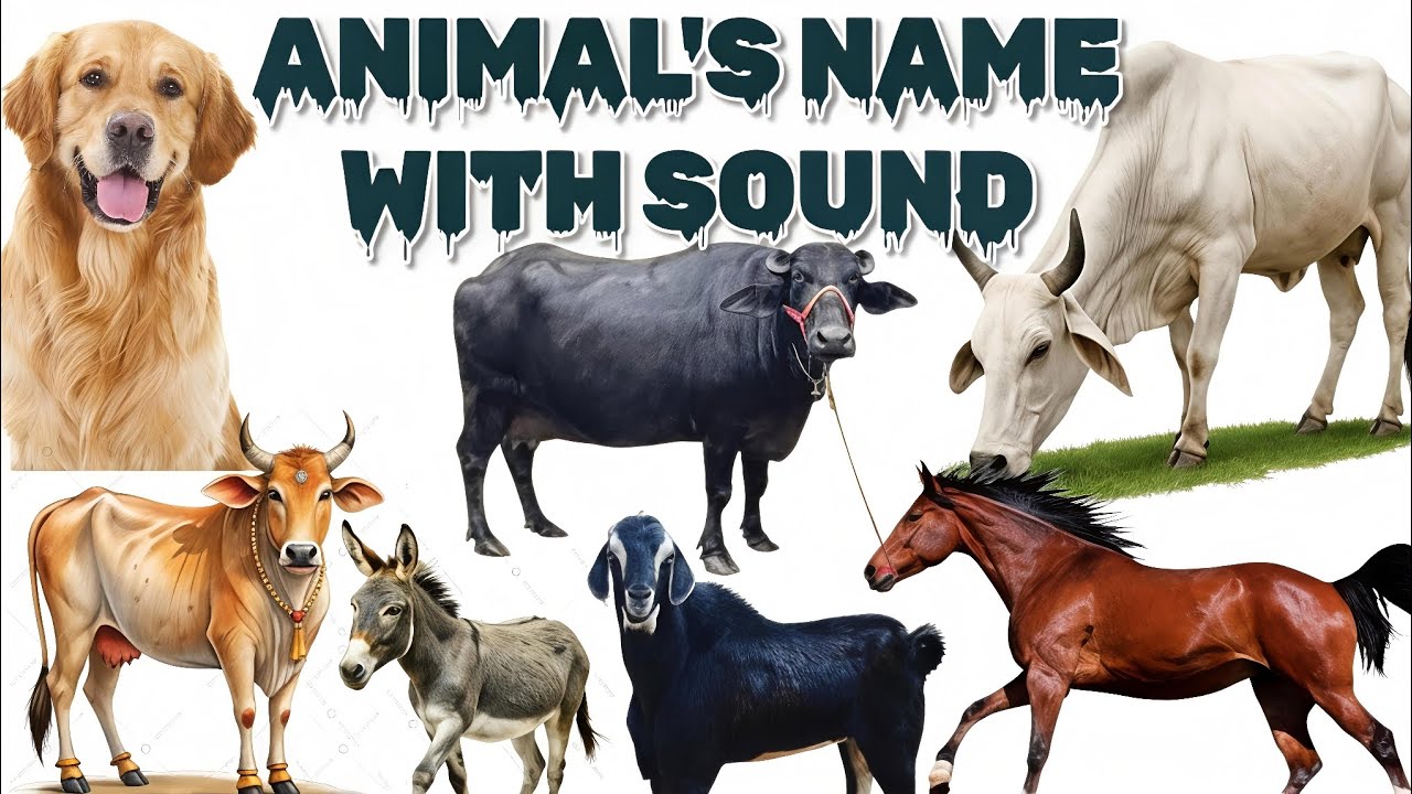 Animal Sounds for Children | जानवरों की आवाज़ | Learn Animals Sound | Learning Video|Fun & Education