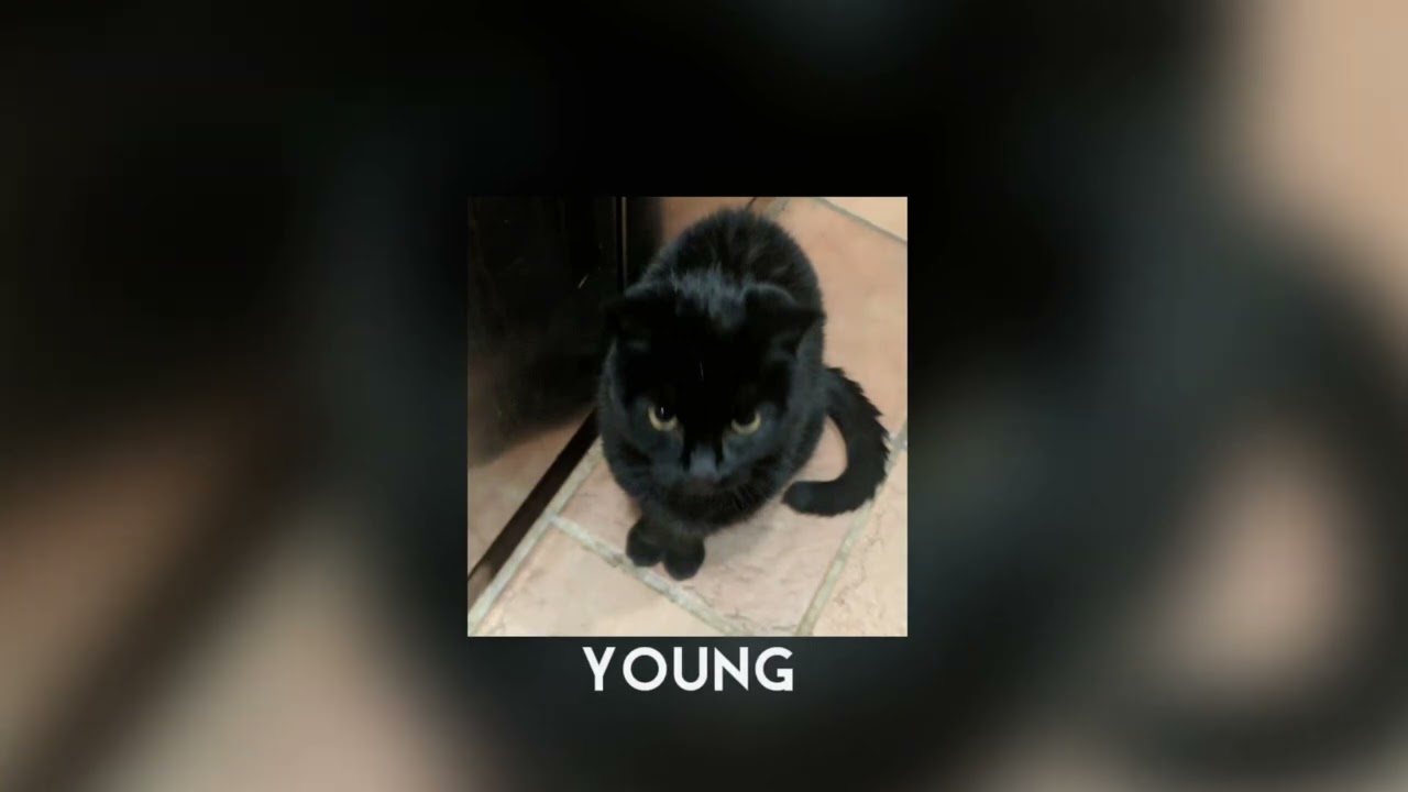 young - vacations (sped up) 