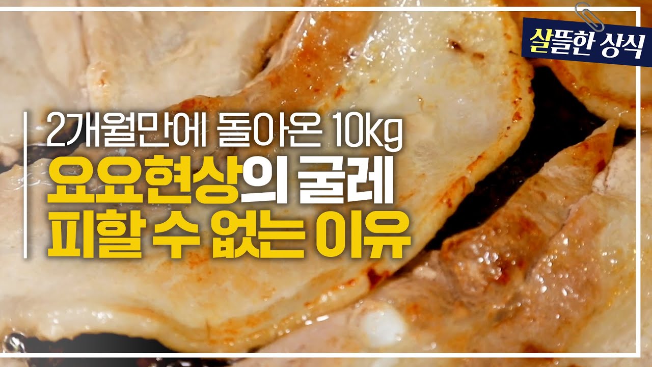 이젠 정말 지긋지긋한 요요현상👿 우리가 요요를 벗어날 수 없는 이유는 뭘까?｜다큐 플러스｜JTBC 231008 방송
