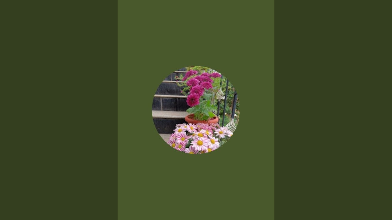 Daily Market video upload  is live குட் மார்னிங் ஃப்ரெண்ட்ஸ் 🙏🙏🙏🙏...