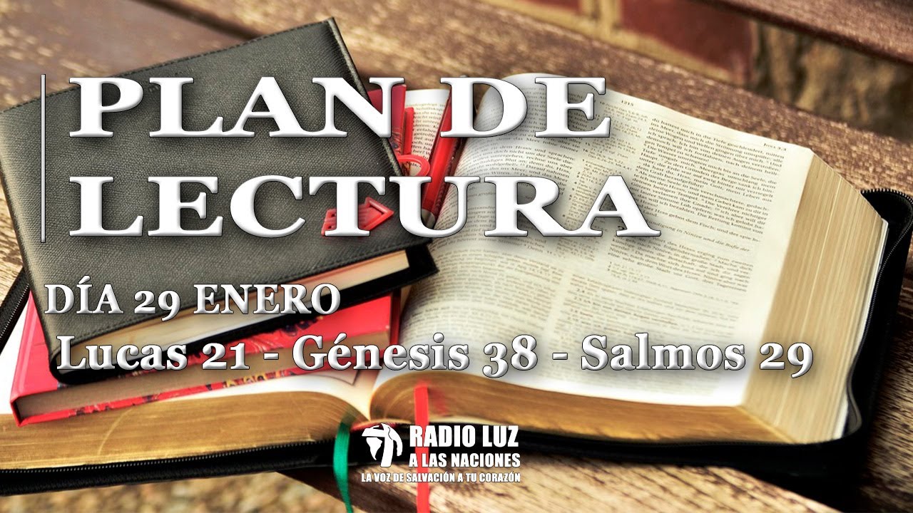 DÍA 29 ENERO
