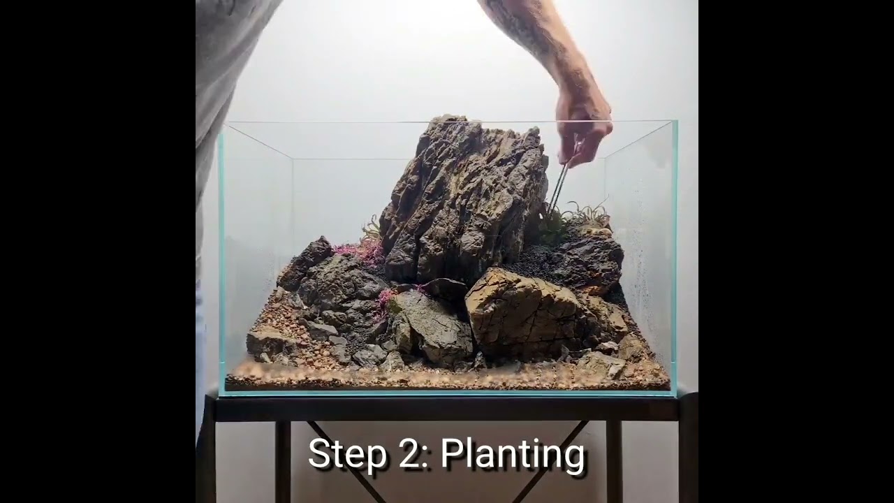 3 major steps of aquascaping
