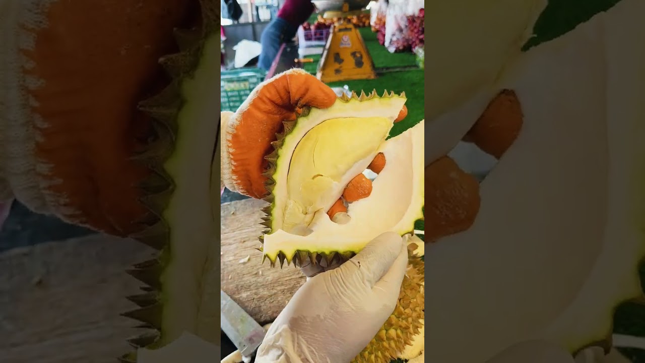 ไซส์ 2.5 กิโลกรัม ลูกไม่สวยเท่าไหร่