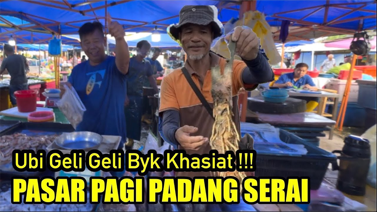 PASAR PAGI PADANG SERAI KEDAH !!! Ubi Geli Geli Banyak Khasiat !!!
