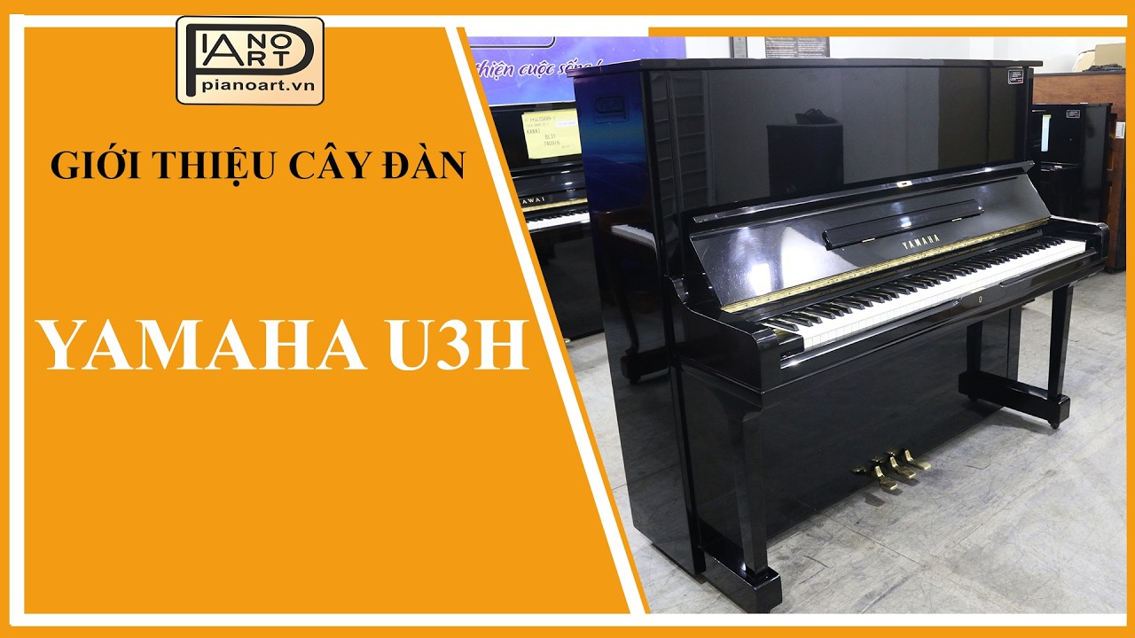 YAMAHA U3H - KHI ÂM THANH CHẠM ĐẾN CẢM XÚC ✨